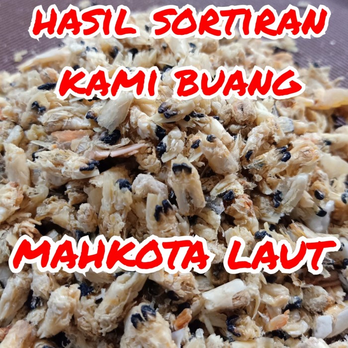 

Ebi Kalimantan / Udang Kering Kalimantan 500 Gram