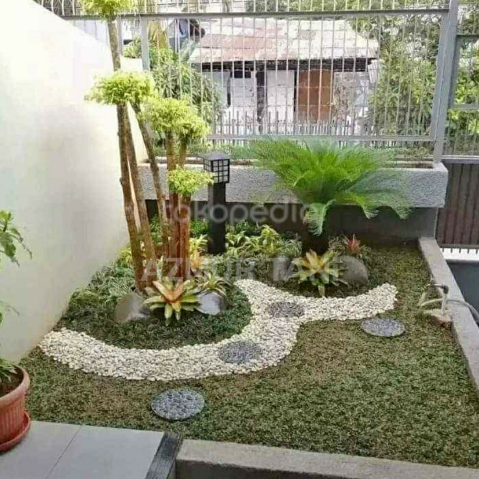 MUST HAVE POHON FALM CIKAS BESAR TANAMAN UNTUK TAMAN TERMURAH