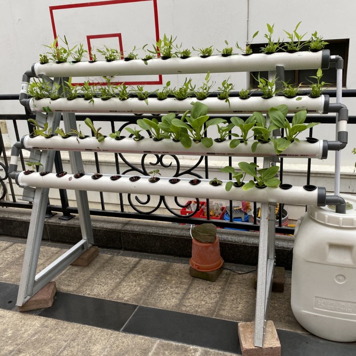 DISKON SPESIAL INSTALASI HIDROPONIK PIPA 2,5 INCH 150 CM RANGKA BAJA RINGAN FULL SET TERBARU
