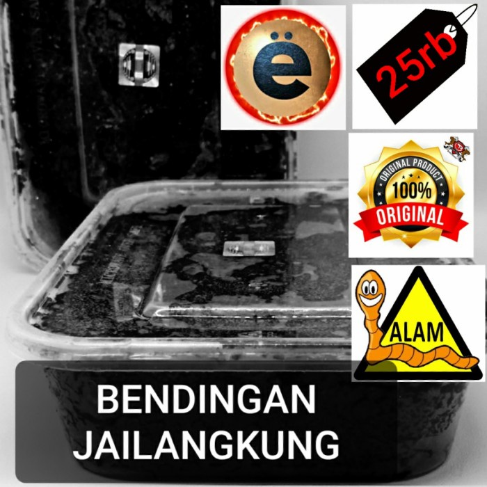 Best Seller Bendingan Jailangkung Asli