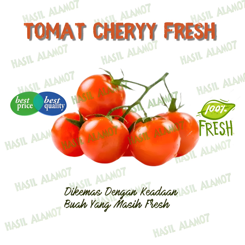 

Tomat Plum Cherry Segar Fresh 500 Gram