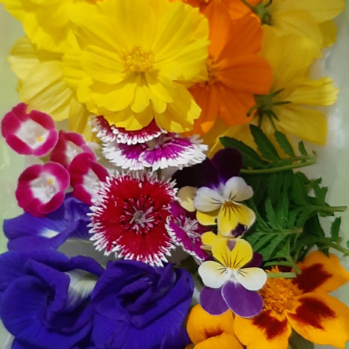 

Terlaris Edible Flowers Mix 30 Pcs