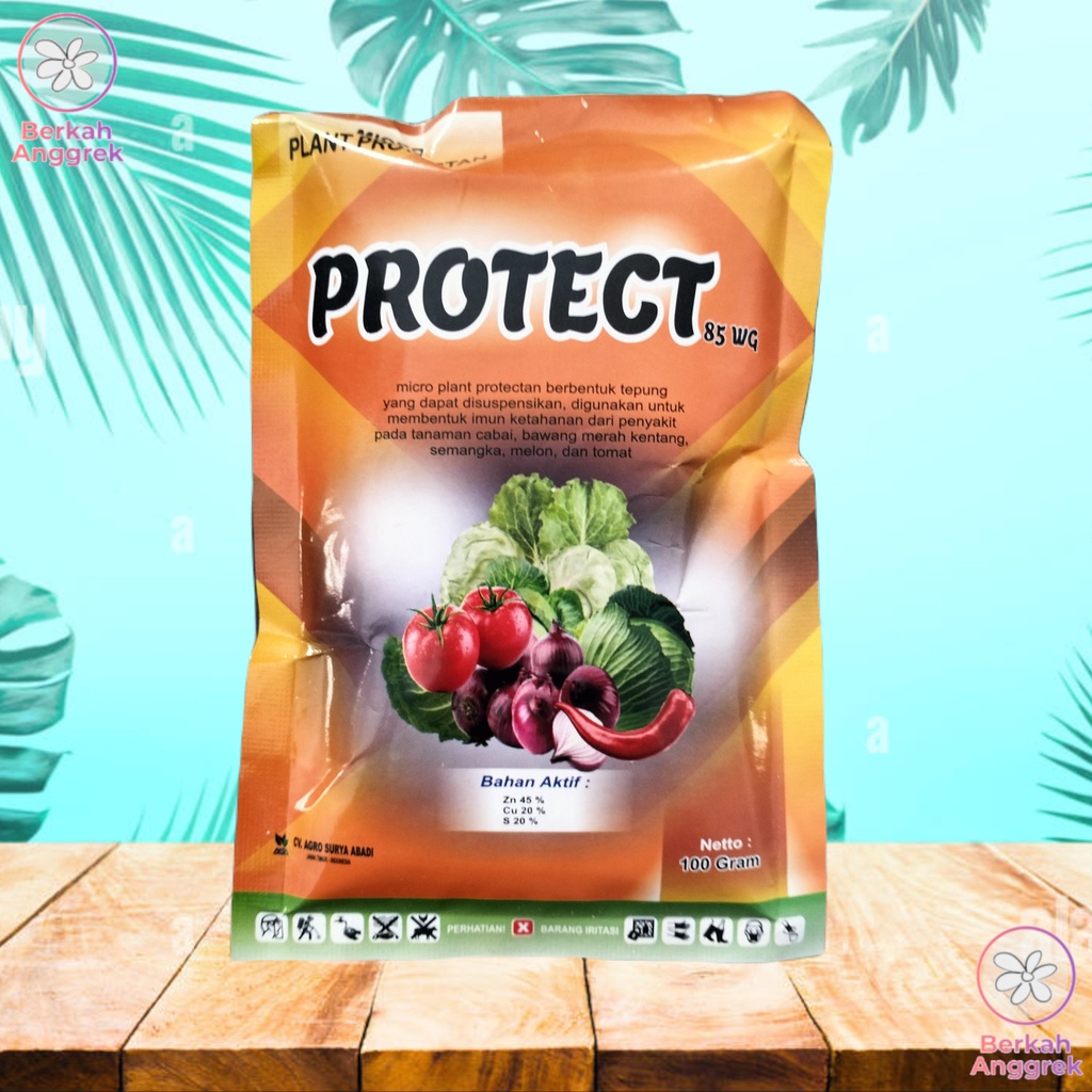 Protect 100 Gram Bakterisida Virusida Tanaman