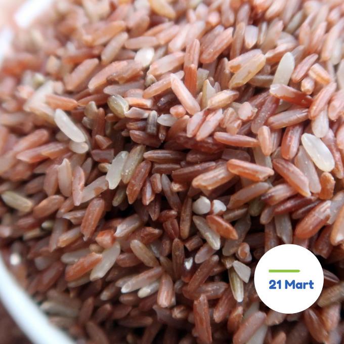

Beras Merah Pulen - Organik - Kemasan 5kg - Normal, Regular