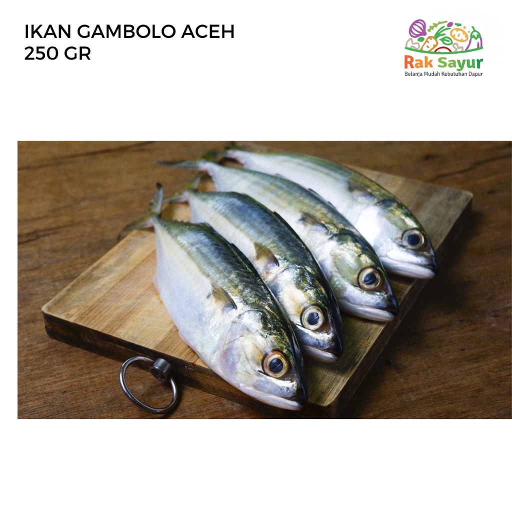 

Ikan Gambolo Aceh 250 Gr Rak Sayur Padang