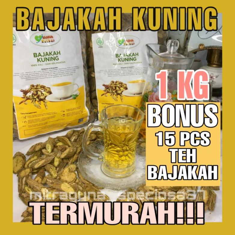 

Bisa Cod Akar Bajakah Kuning 1Kg Kayu Asli Kalimantan Original ,,