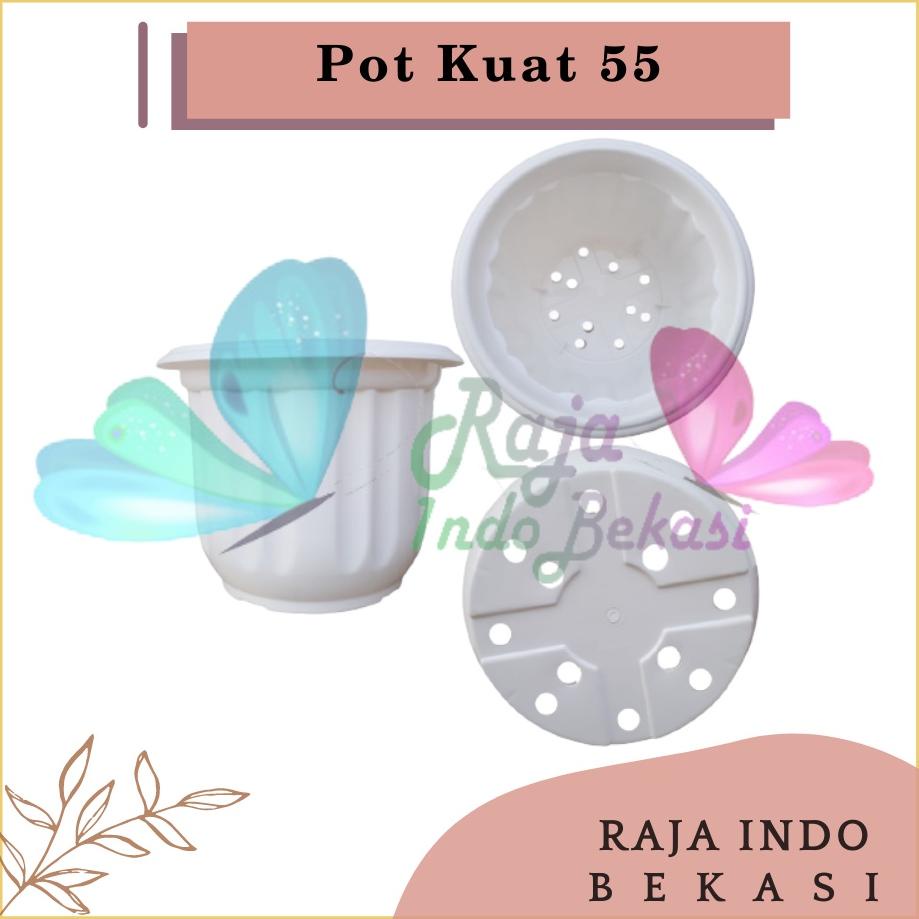 Terbaru Tebal & Murah Pot Kuat 50 55 Putih - Pot Besar Jumbo Murah 50Cm 60Cm Pot Besar Plastik Bahan