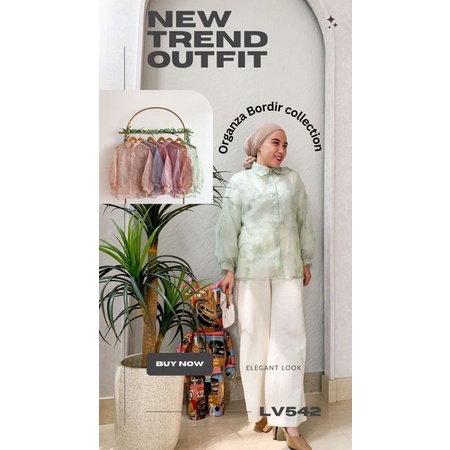 Outer Kemeja Organza bordir premium | Atasan Blouse wanita viral | Kemeja Organza premium