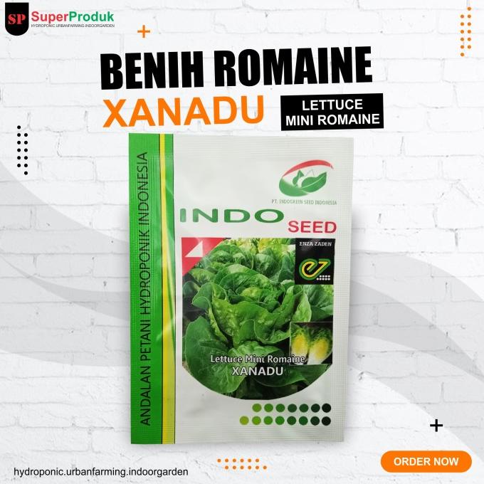 Ready Benih Selada Baby Romaine- Selada Romaine Mini Enza Terlaris