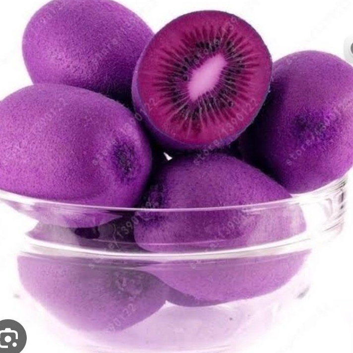 

シ XIV 51108 Kiwi Import Ungu Manis Spy Ready Stok 彡
