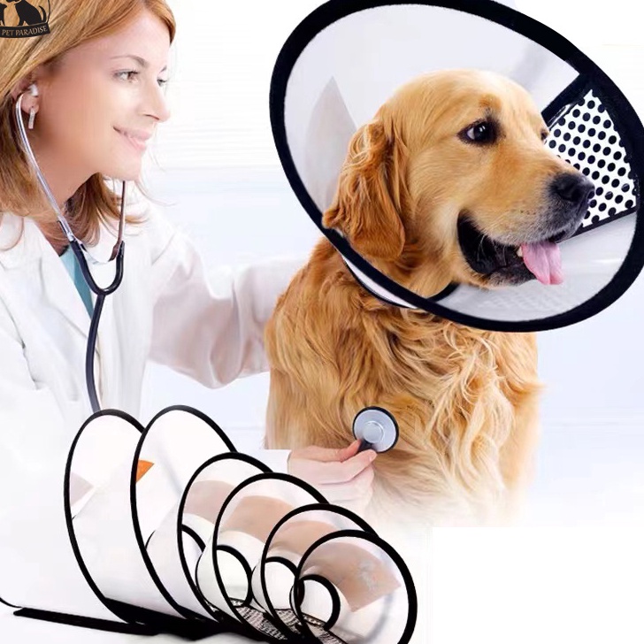 NXTG4931 (Terbaik)  ROYAL PET PARADISE Pelindung Leher Anjing Neck Pet Collar Anjing Kucing Penutup 
