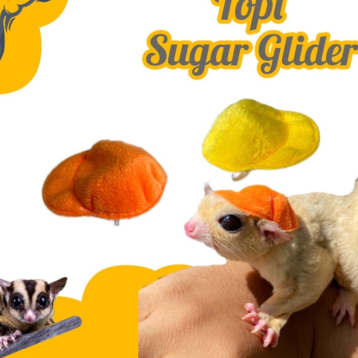 CGLK9591 [PROMO sALE]  TOPI SUGAR GLIDER LUCU CAP SUGAR GLIDER TOPI SG TOPI TUPAI TERBANG
