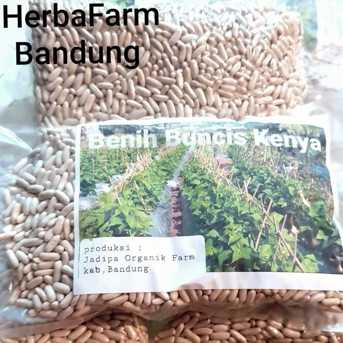 BARU  Benih Buncis Kenya ,500 gram