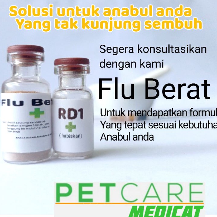 Buruan Beli Obat kucing Flu berat Ampuh obat Flu berat kucing ampuh flucat ampuh Obat batuk kucing a