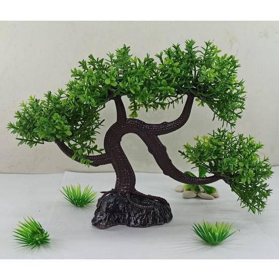 Free Ongkir Hiasan Aquarium Tanaman Bonsai, Bonsai Aquarium, Dekorasi Aquarium Tanaman Bonsai, Pohon