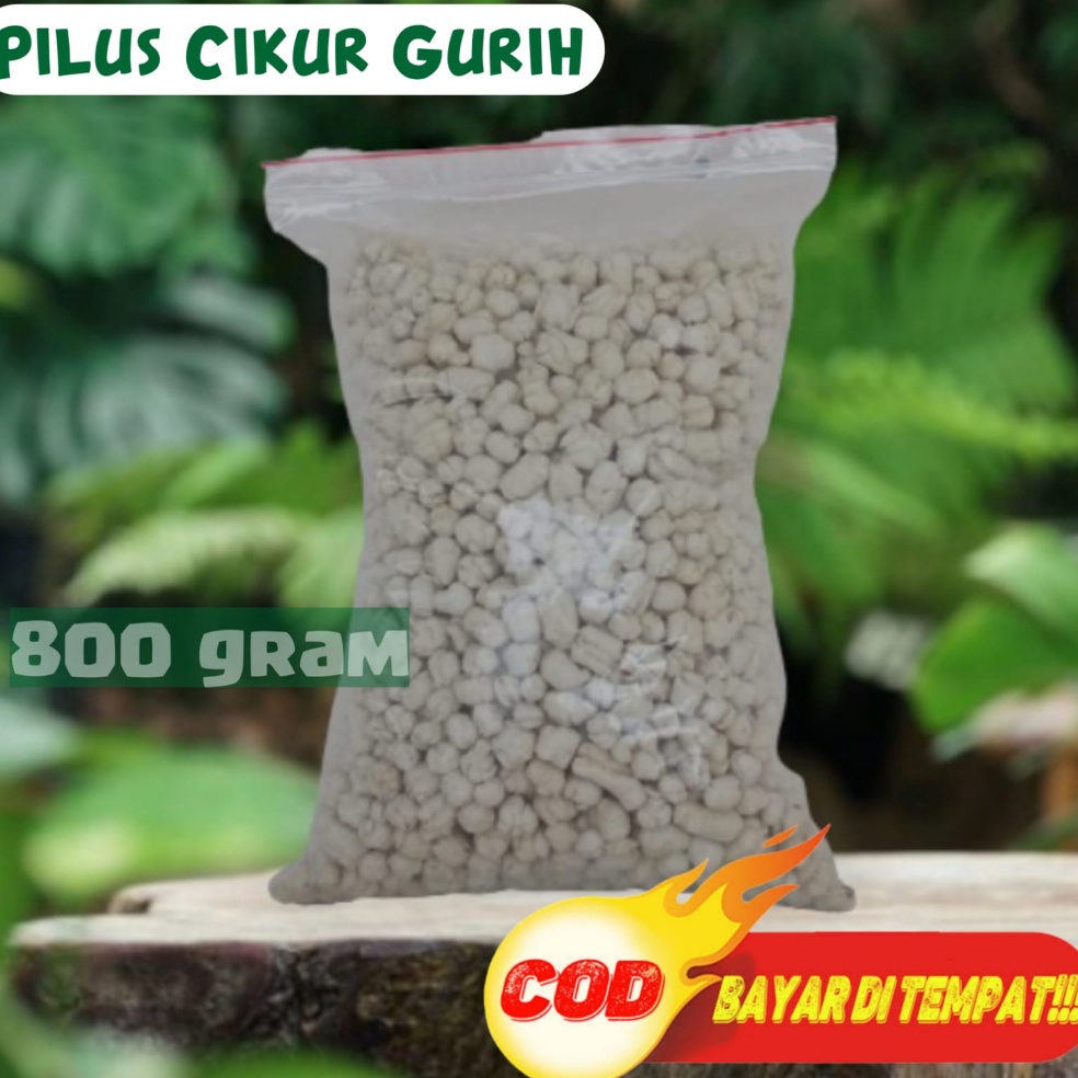 

Paling Dicari.. PILUS CIKUR | PILUS CIKUR 800gr | PILUS PEDAS | PILUS MIE GORENG | PILUS CIKUR KENCUR " PILUS CIKUR SARI RASA | JAJANAN JADUL | CEMILAN PEDAS | MAKANAN RINGAN SNACK 70