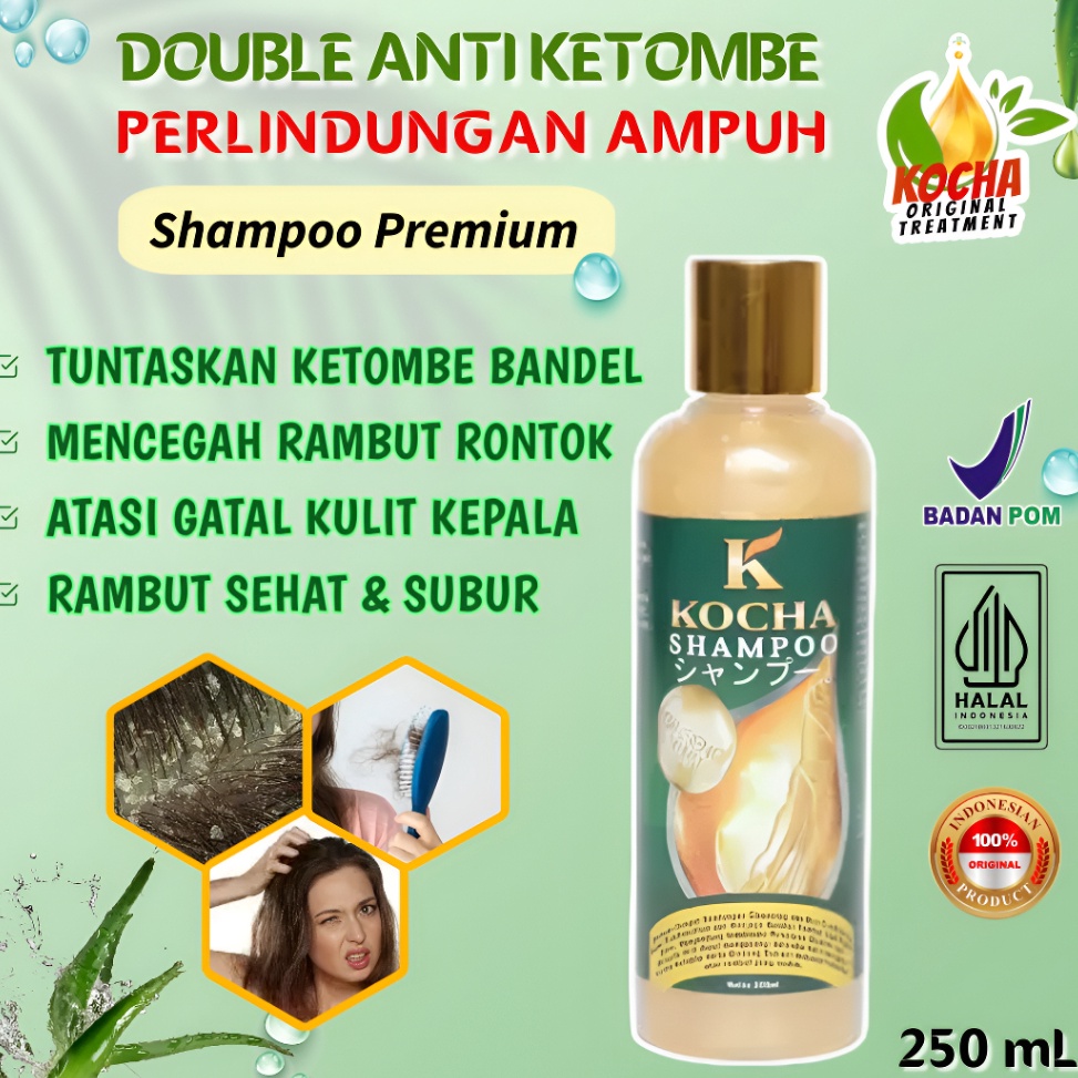 GDRY0482 Stok terbaru  Kocha Obat Shampoo Anti Ketombe Basah Dan Rambut Rontok Parah Paling Ampuh Sa