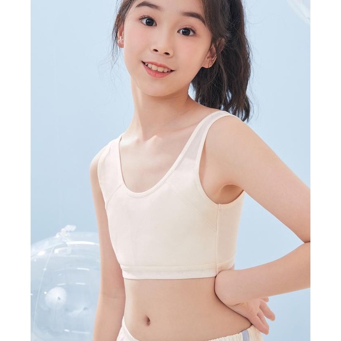 Young Hearts Miniset Dream Seashells U Back Y01-011718