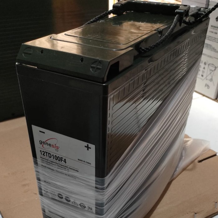 Battery Vrla Genesis 12V 100Ah