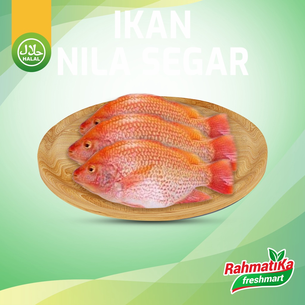 Ikan Nila Fresh / Ikan Nila Segar 1 Kg