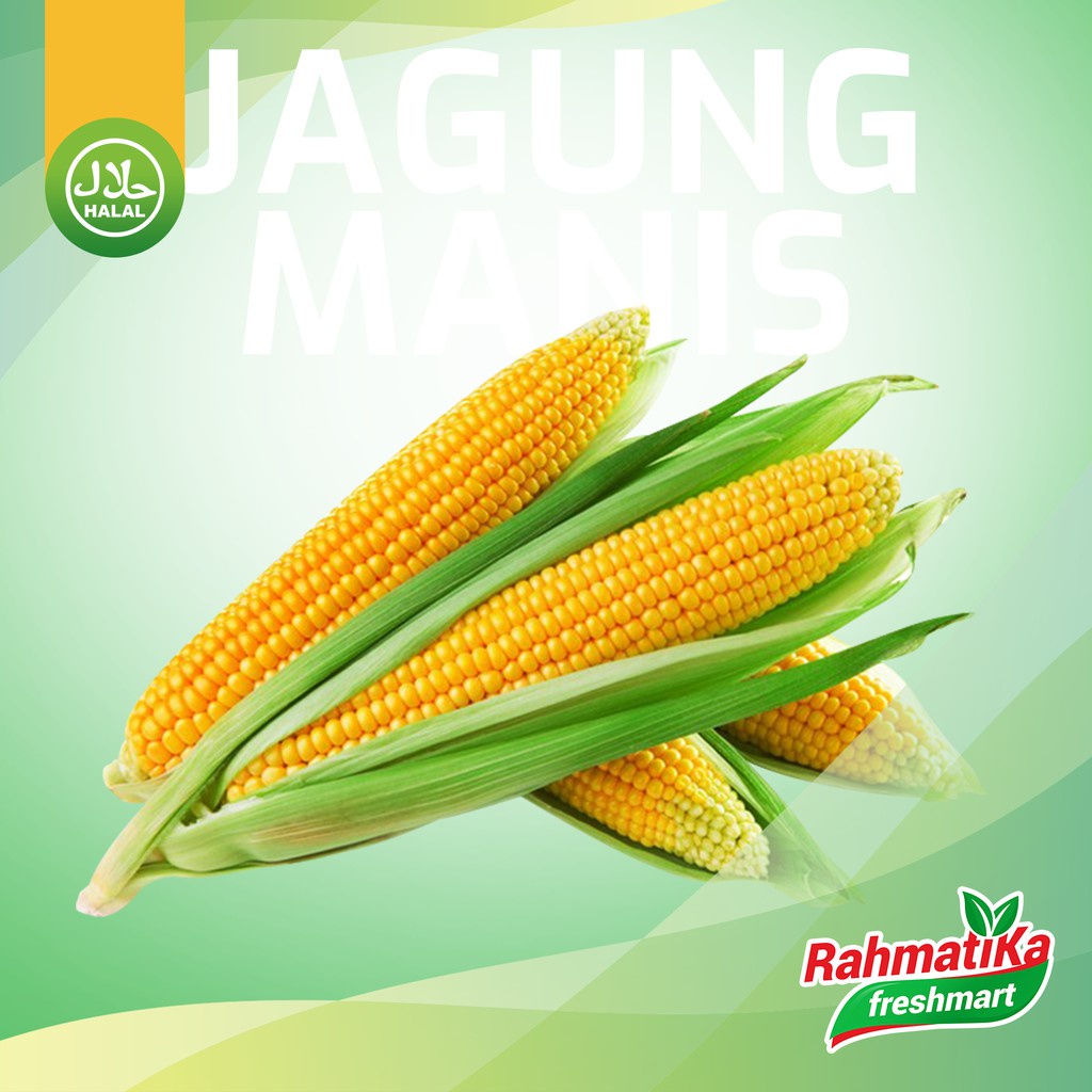 Jagung Manis Segar 1 pcs / Jagung Manis Fresh 1 Buah (Sayur Segar)