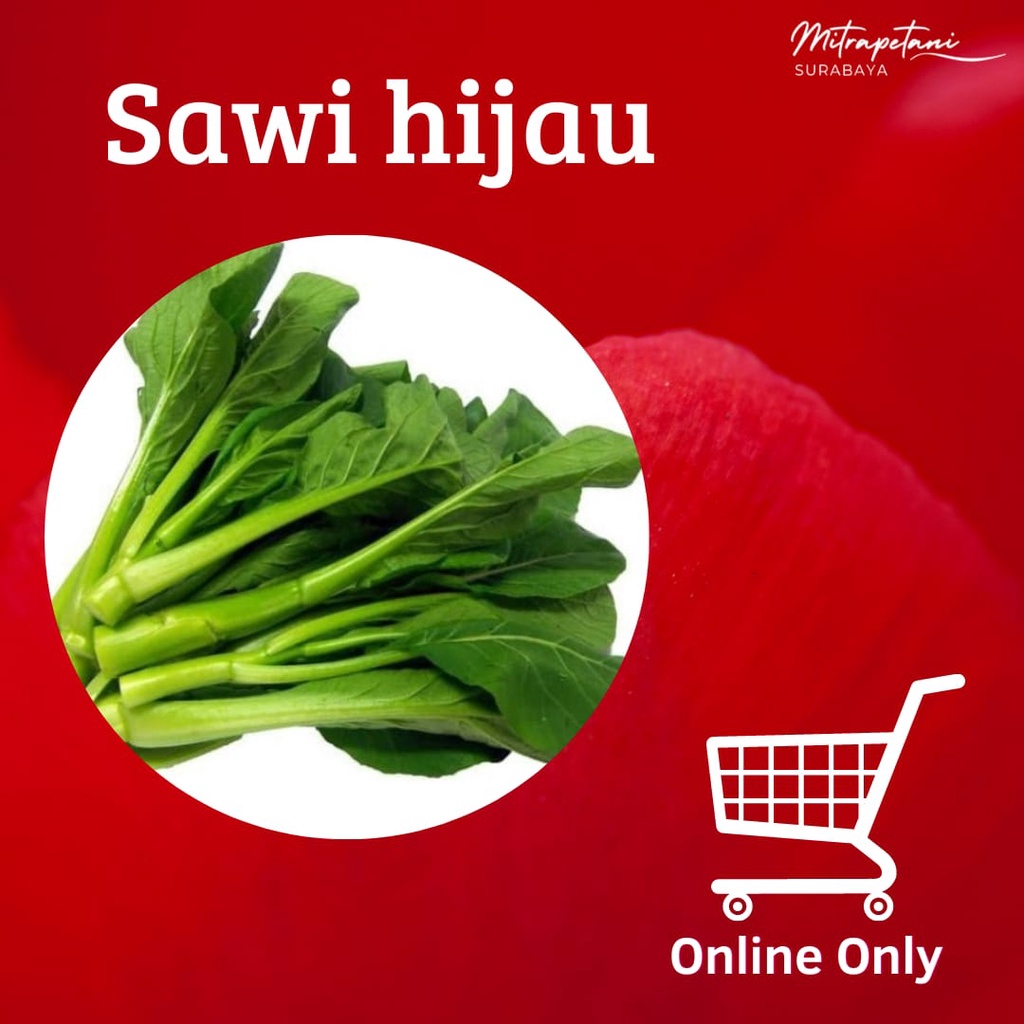 

Sayur sawi hijau, sayur sawi hijau 1 ikat, sawi hijau segar