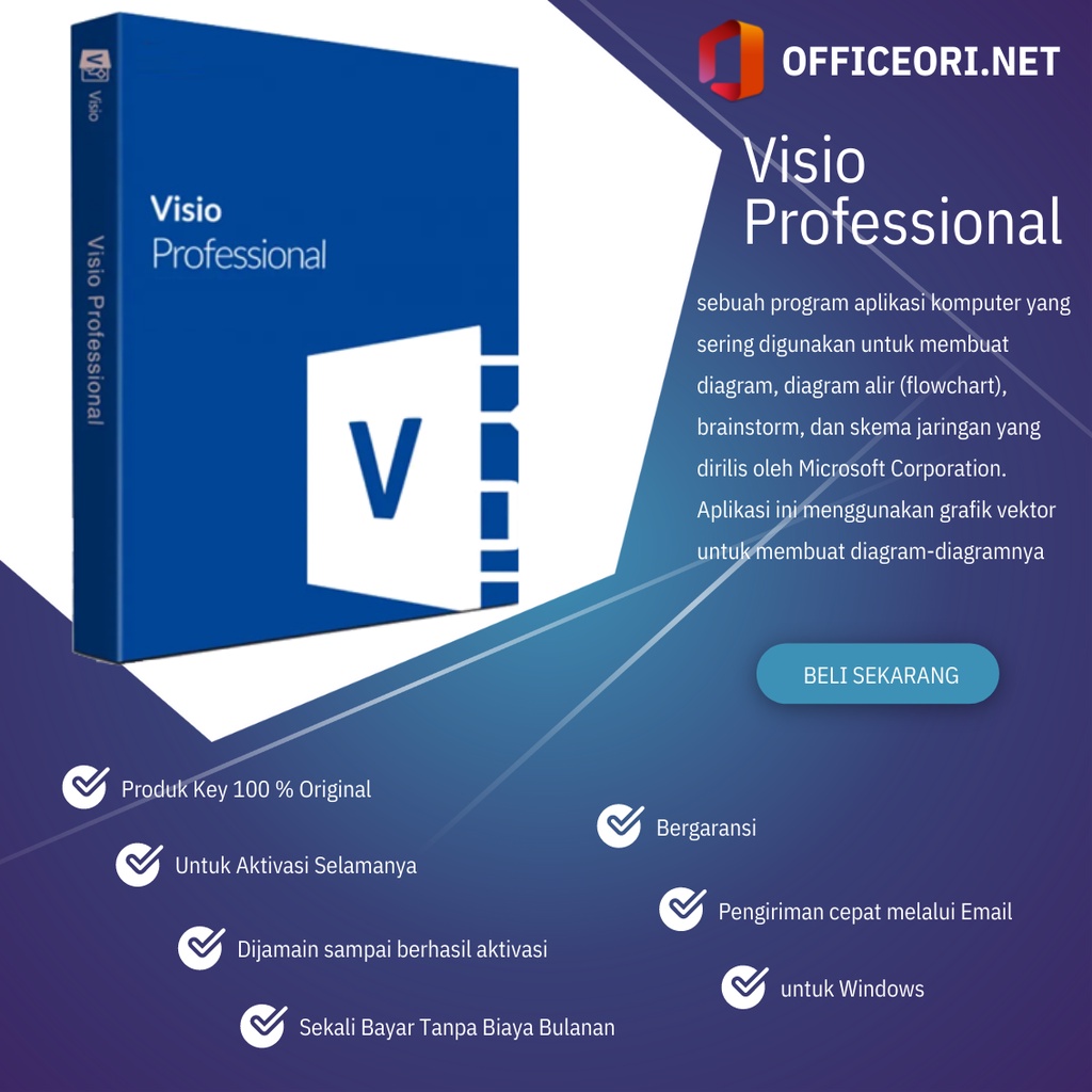 promo.ms visio / project professional 2016 / 2019 / 2021 original