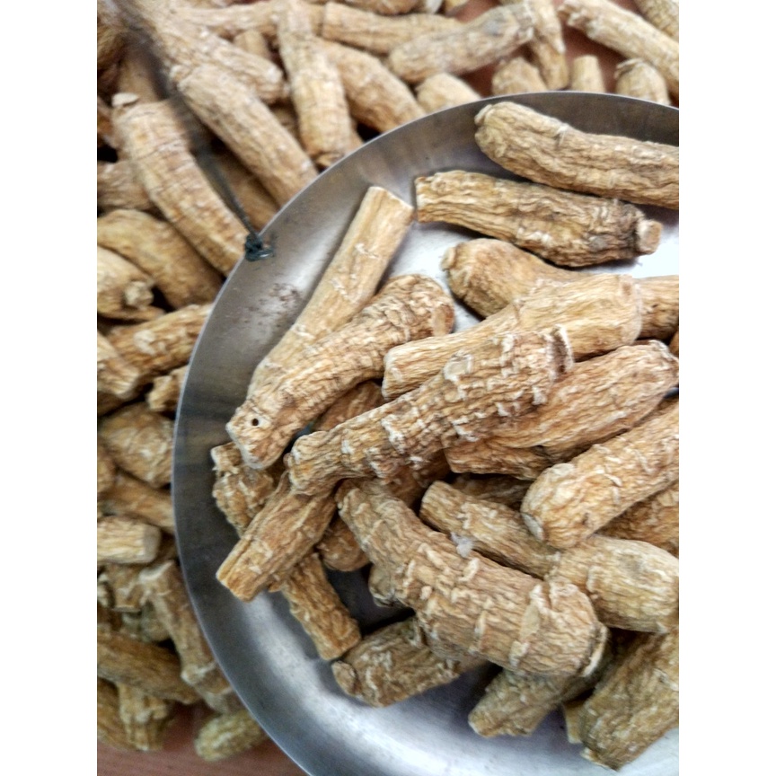 

HS american ginseng / ginseng asli / da yi zhong shen 5 gram