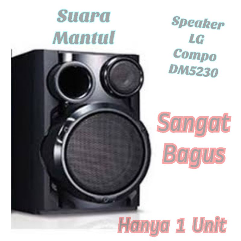 Speaker Pasif LG 6 Inch DM5230 Suara Jernih Dan Mantap