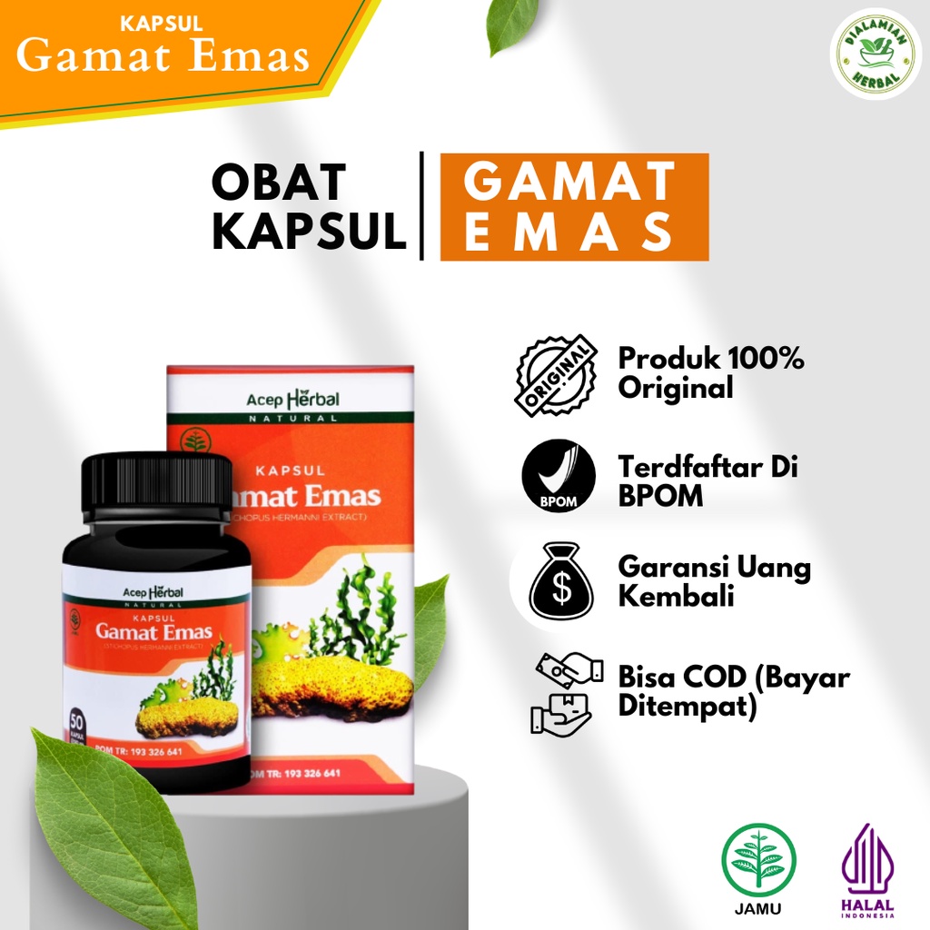Kapsul Gamat Emas Original Ekstrak Teripang / Gamat Emas Asli