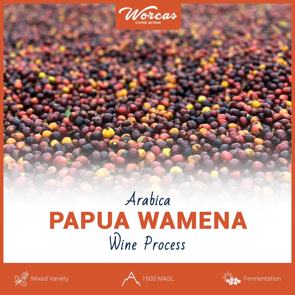 

Green Bean Arabica Papua Wamena Wine Process 1Kg (Biji Kopi Mentah)