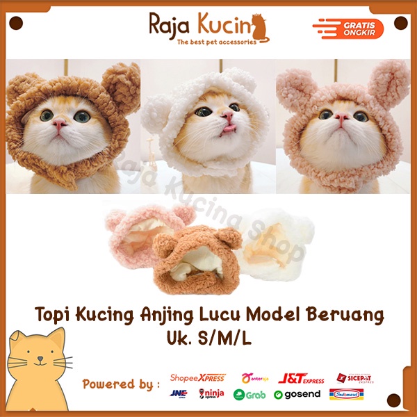 Topi Kucing Anjing Lucu Model Beruang Uk. S/M/L