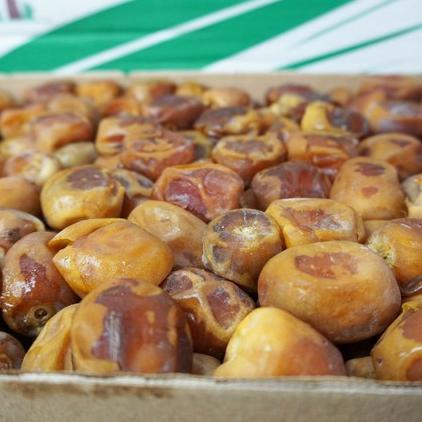 

Kurma Raja Sukari Basah 3Kg Kurma Sukkari Premium Asli 100% Original Promo Best Seller!