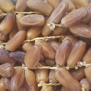 

Kurma Palm Frutt Tunisia Tangkai Kurma Tangkai Tunisia 1Kg Promo Best Seller!