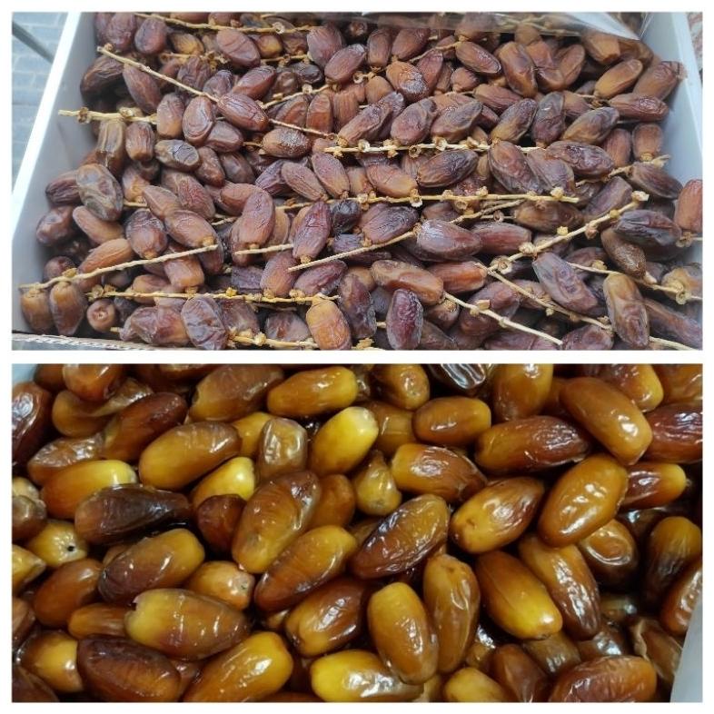 

Kurma Tunis Madu Kurma Tunis Tangkai 500 Gram Promo Best Seller!