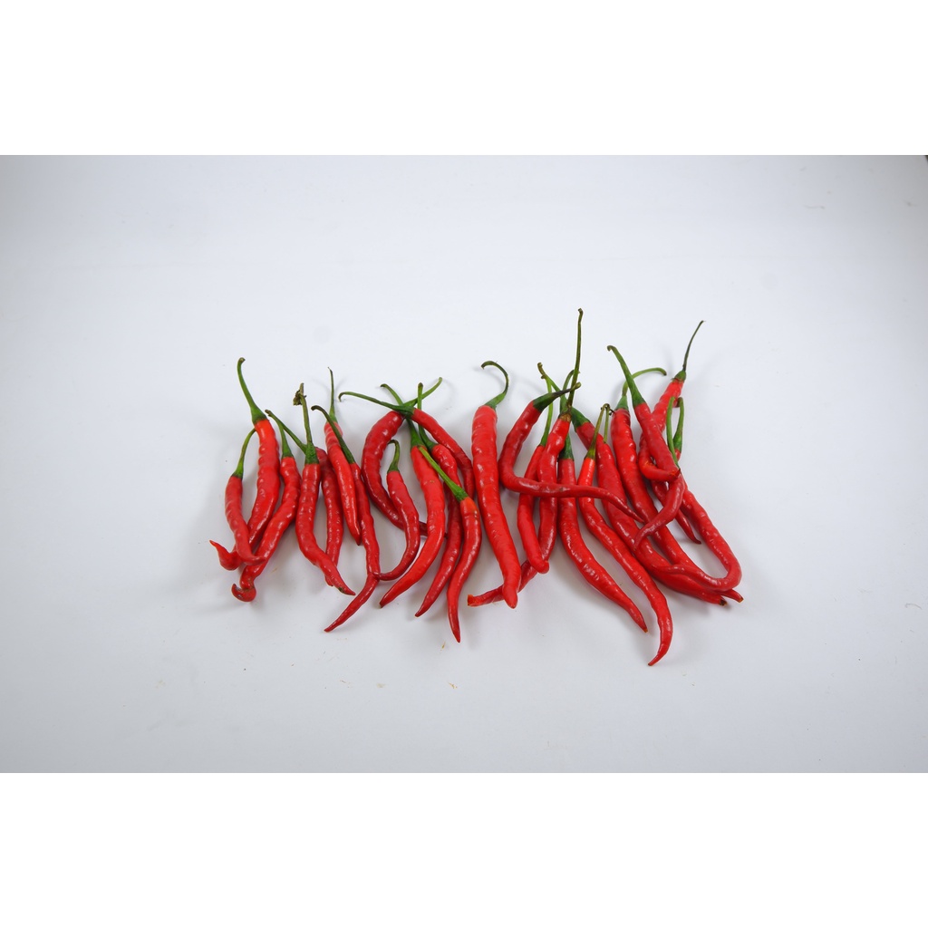 

Cabe Keriting Merah 250 gr
