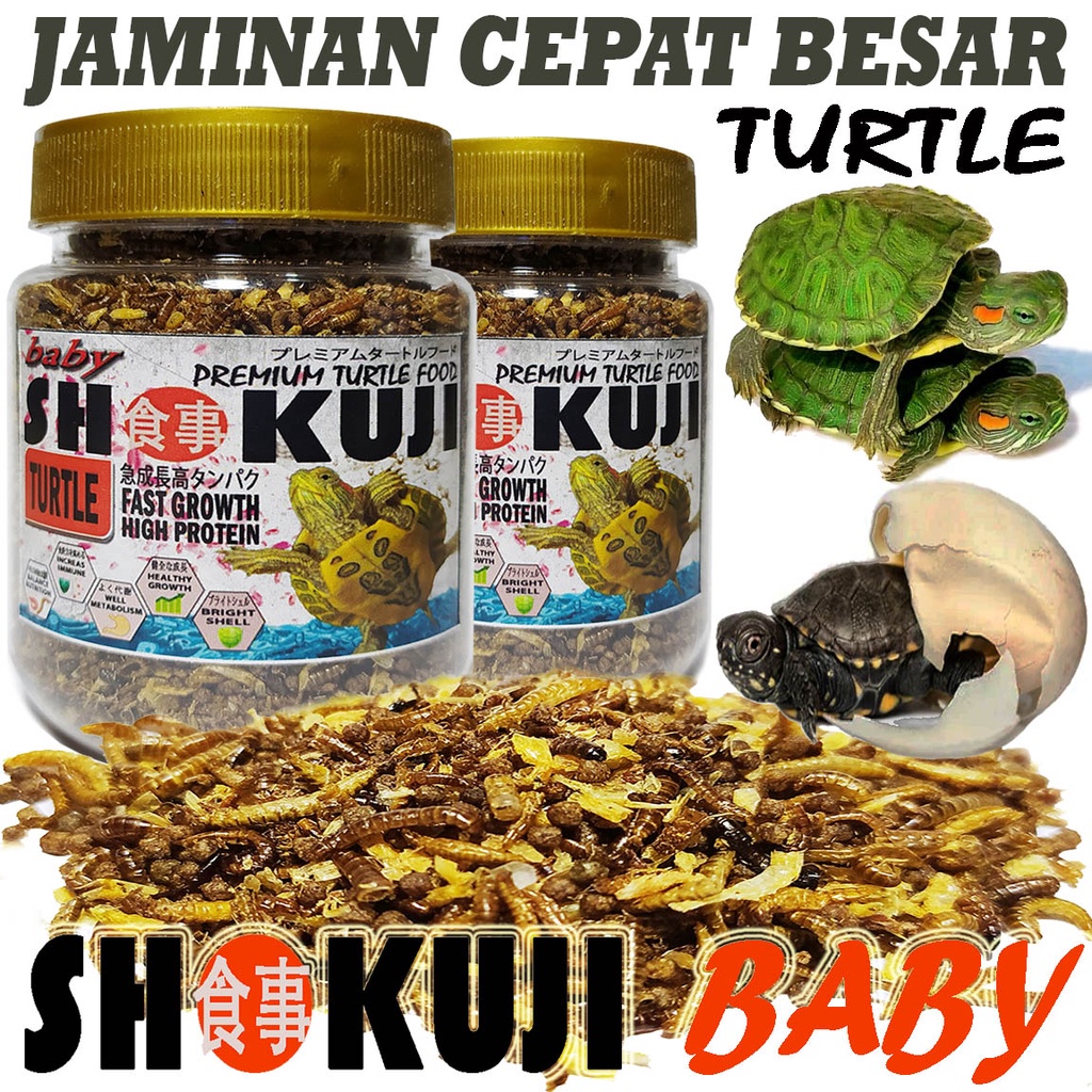 SHOKUJI PAKAN KURA AIR MAKANAN PELET TURTLE BABY FOOD RES BRAZIL ALIGATOR TURTLES MAKANAN BAYI KURA 