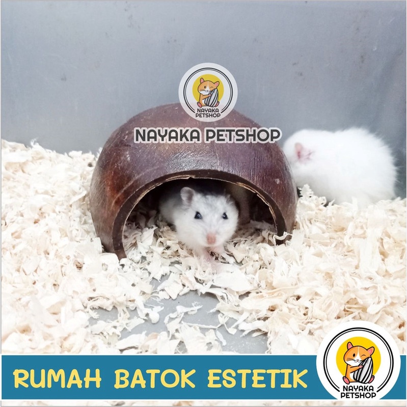 Rumah Batok Kelapa Hamster Sarang Kandang Tupai Sugar Glider Coconut Home House Hewan