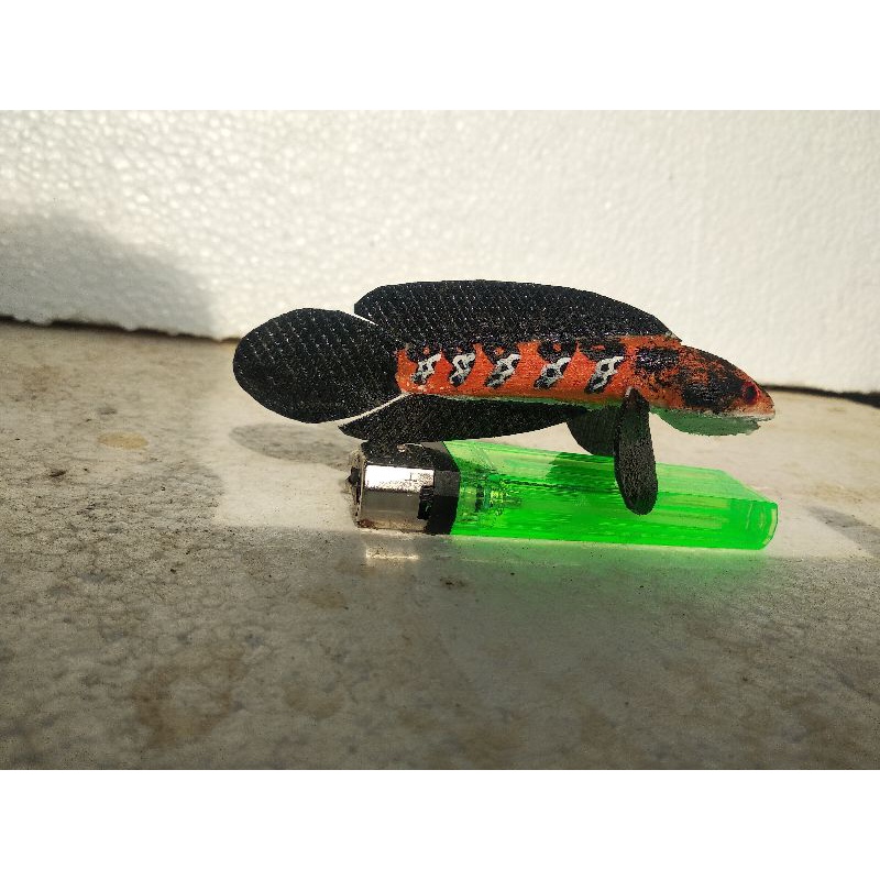 patung channa maru 10cm