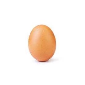 

Telur Ayam Horn 1kg