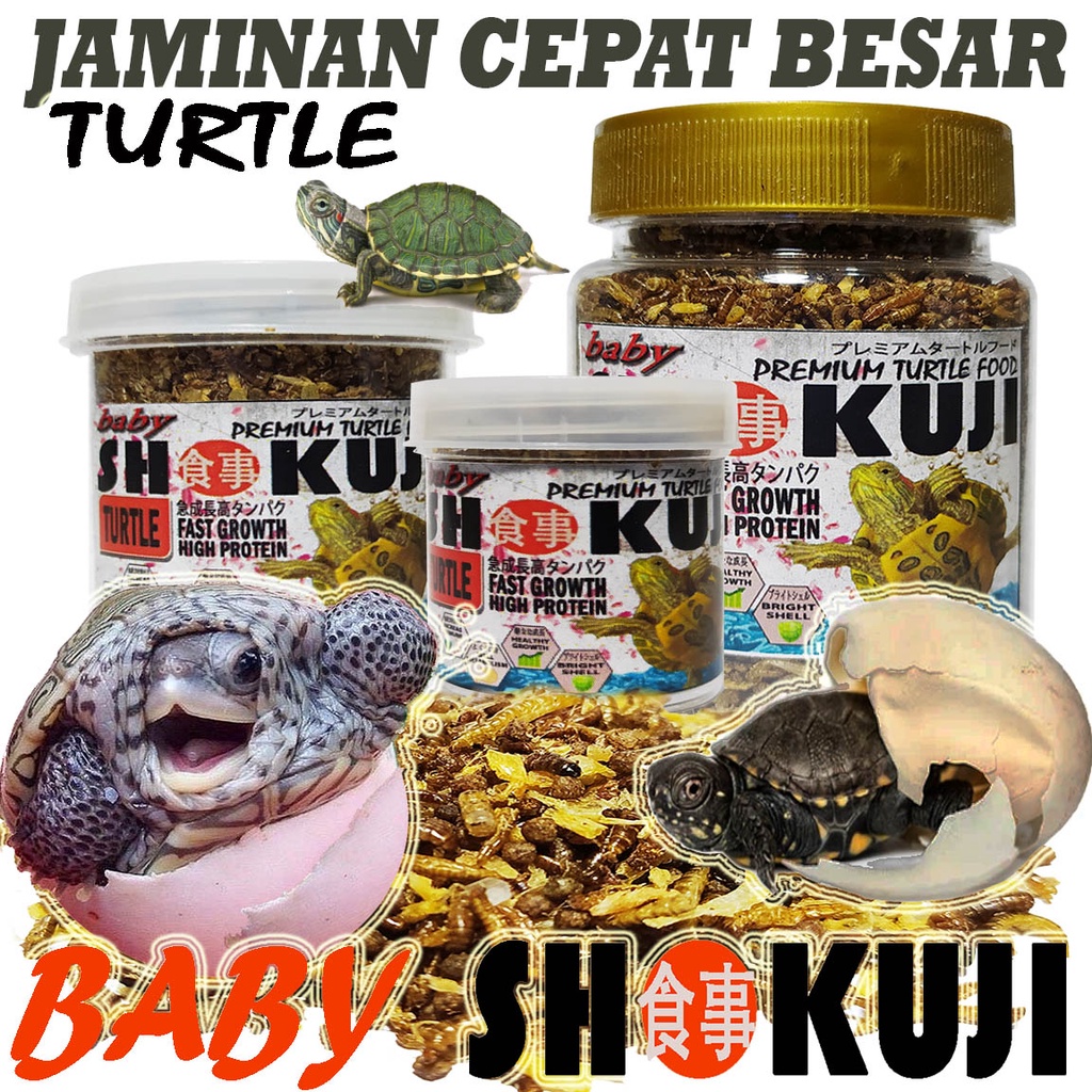 SHOKUJI TURTLE BABY FOOD MAKANAN RES BRAZIL ALIGATOR PELET PAKAN KURA KURA AIR BAYI KURAKURA AMBON D