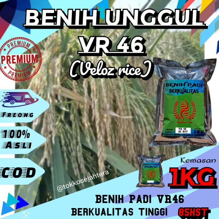 

Benih padi VR 46 kemasan 1kg Best Seller