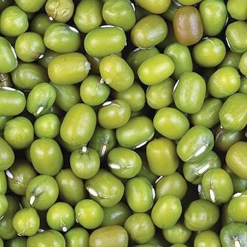 

Kacang Hijau Green Mung Beans 1 kg Best Seller