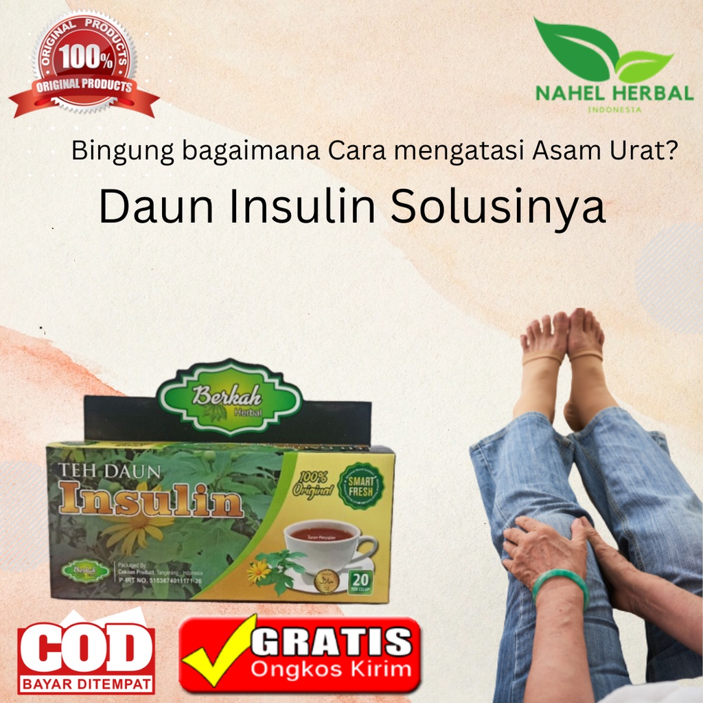 Obat Herbal Sakit Lambung Dan Asam Urat Sembuh Total - Teh Celup Daun Insulin Berkah Pengering Luka 