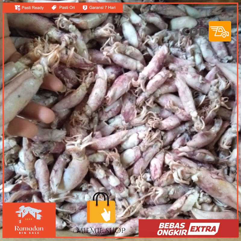 

cumi asin 1kg - Random