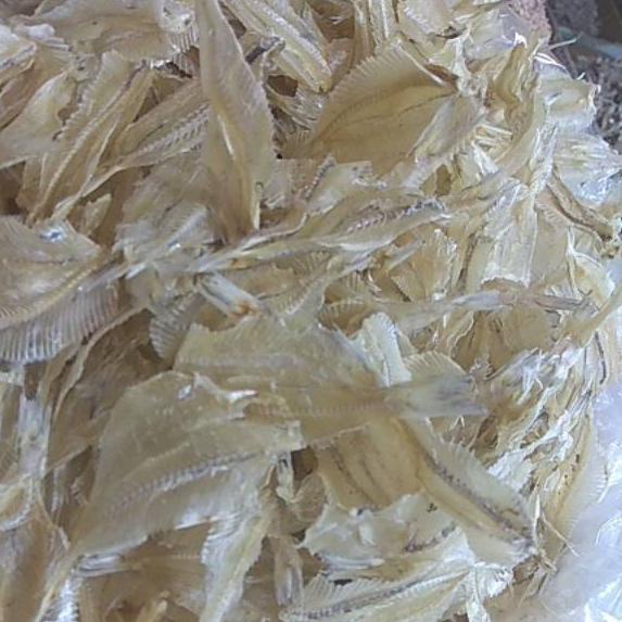 

Terbaru✅⭐-Ikan kapasan tipis tawar medan,berat 250 gram