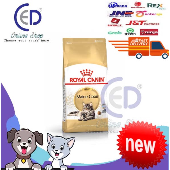 MAKANAN KUCING ROYAL CANIN MAINECOON 31 2KG