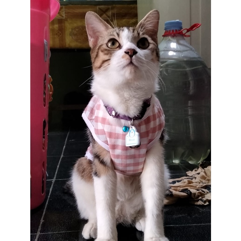 MMM Baju Hewan Peliharaan Tank Motif Garis Kotak Lucu Untuk Kucing dan Anjing Baju Kucing Termurah Size S-XL Kaos Singlet Tanpa Lengan Anabul Kitten Puppy Pakaian Musim Panas Murah Pet Clothes Tank Shirt Stripe Small