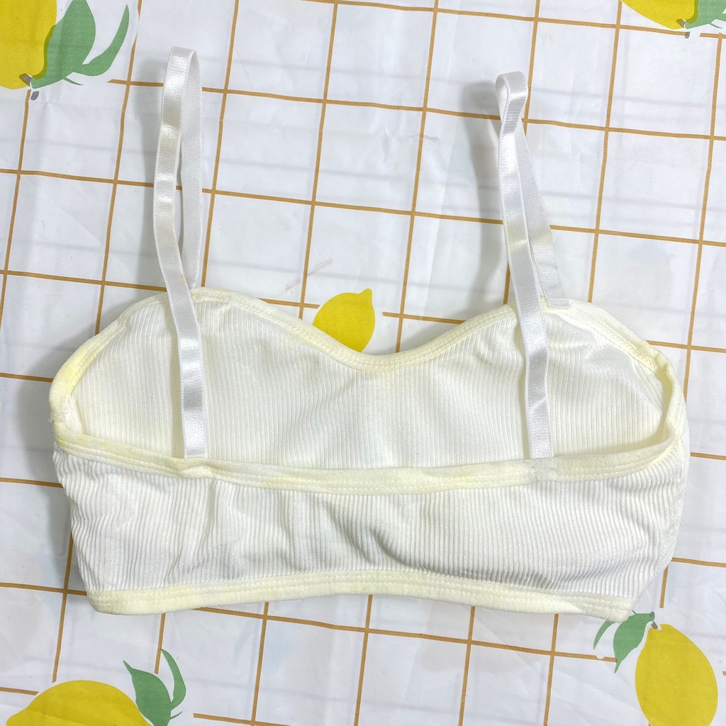 MMM REJECT Bra Sport 6676 B500 Tanpa Kawat Ala Korea Tank Top 6464 Wanita Pakaian Dalam Wanita BH Sport Yoga B400 Motif Garis Murah Import