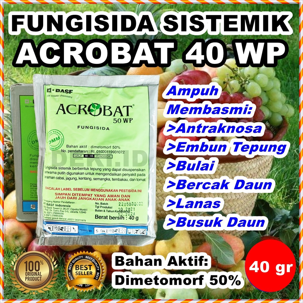 ACROBAT 50 WP 40 GR FUNGISIDA SISTEMIK OBAT JAMUR ANTRAKNOSA EMBUN BULU BUSUK DAUN PEMBASMI HAMA
